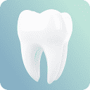 Pearl dental software logo